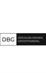 Droogbloemengroothandel, Haarlem openingstijden