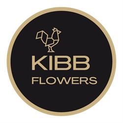 Kibb Flowers, Haarlem openingstijden
