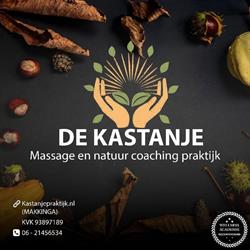 De Kastanje, Makkinga openingstijden