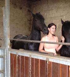 Energetische Praktijk Amanda, Paarden & Huisdieren, Brunssum openingstijden