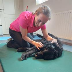 Dierfysiotherapie Marjolein, Kwadendamme openingstijden