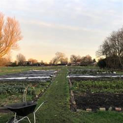 Tuinderij Geworteld, Bruchem openingstijden