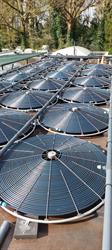 Solar Twist, Zuidwolde openingstijden