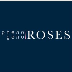 Pheno Geno Roses Bv, Grubbenvorst openingstijden