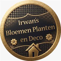 Irwans bloemen planten en deco, Sappemeer openingstijden
