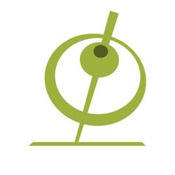 Networking Professionals B.V., Capelle aan den IJssel openingstijden