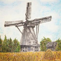 Stichting korenmolen De Hoop Keldonk, Erp openingstijden