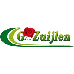 GJ van Zuijlen Bloemenexport, Honselersdijk openingstijden