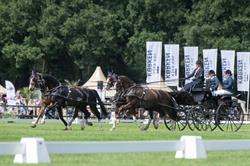 Menteam ter Harmsel, Rijssen openingstijden