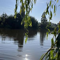 Natuurgebied de Lansing, Reeuwijk openingstijden
