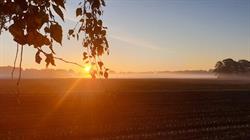 Camping Kempenstee, Knegsel openingstijden