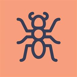 Esthetic Ants, Schinveld openingstijden