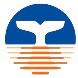 Waterland Chiropractie, Bodegraven openingstijden